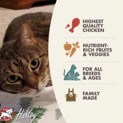 Fromm Four Star Chicken A La Veg Grain Inclusive Recipe Dry Cat Food