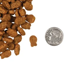 Fromm Four Star Grain Free Salmon Tunachovy Dry Cat Food