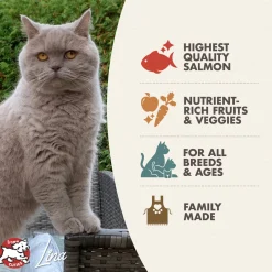 Fromm Four Star Grain Free Salmon Tunachovy Dry Cat Food