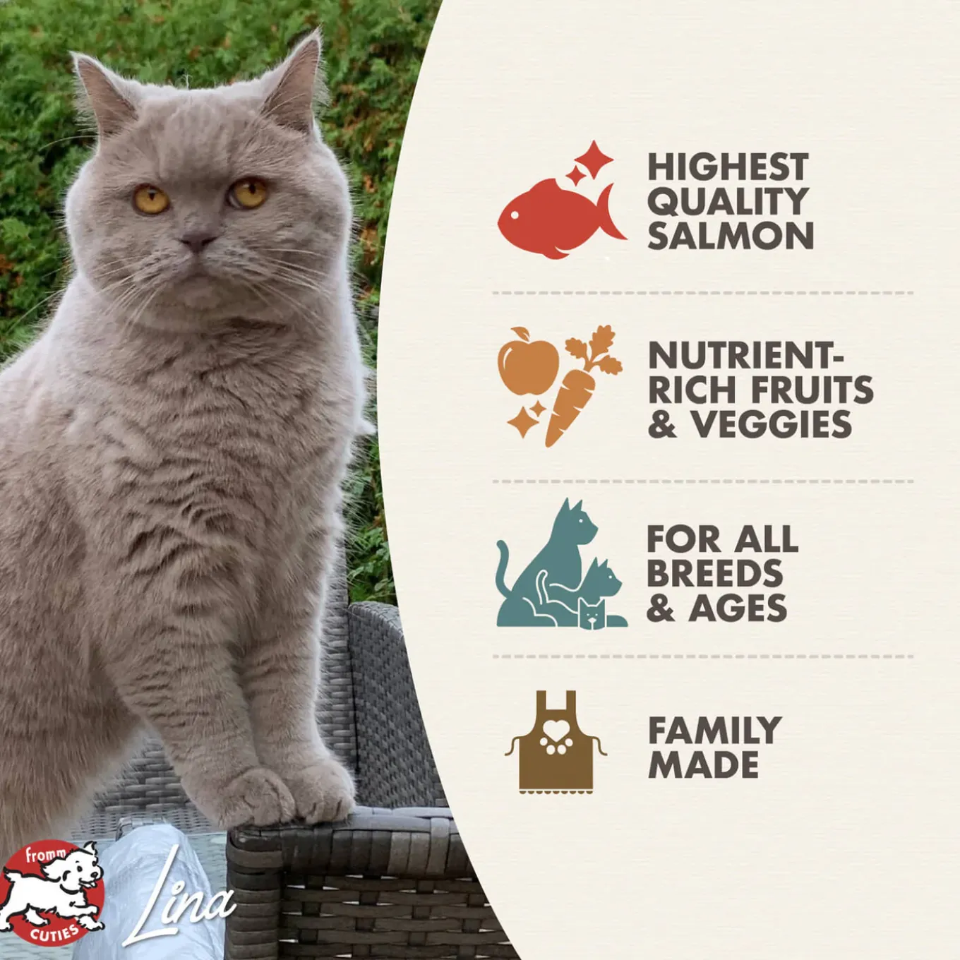 Fromm Four Star Grain Free Salmon Tunachovy Dry Cat Food