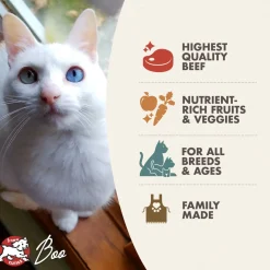 Fromm Four Star Grain Free Beef Livattini Veg Formula Dry Cat Food