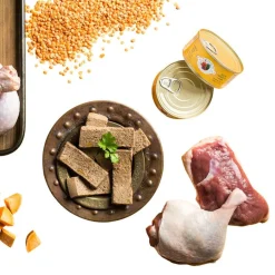Fromm Four-Star Wet Cat Food Pate