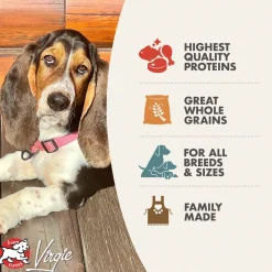 Fromm Adult Gold Dry Dog Food