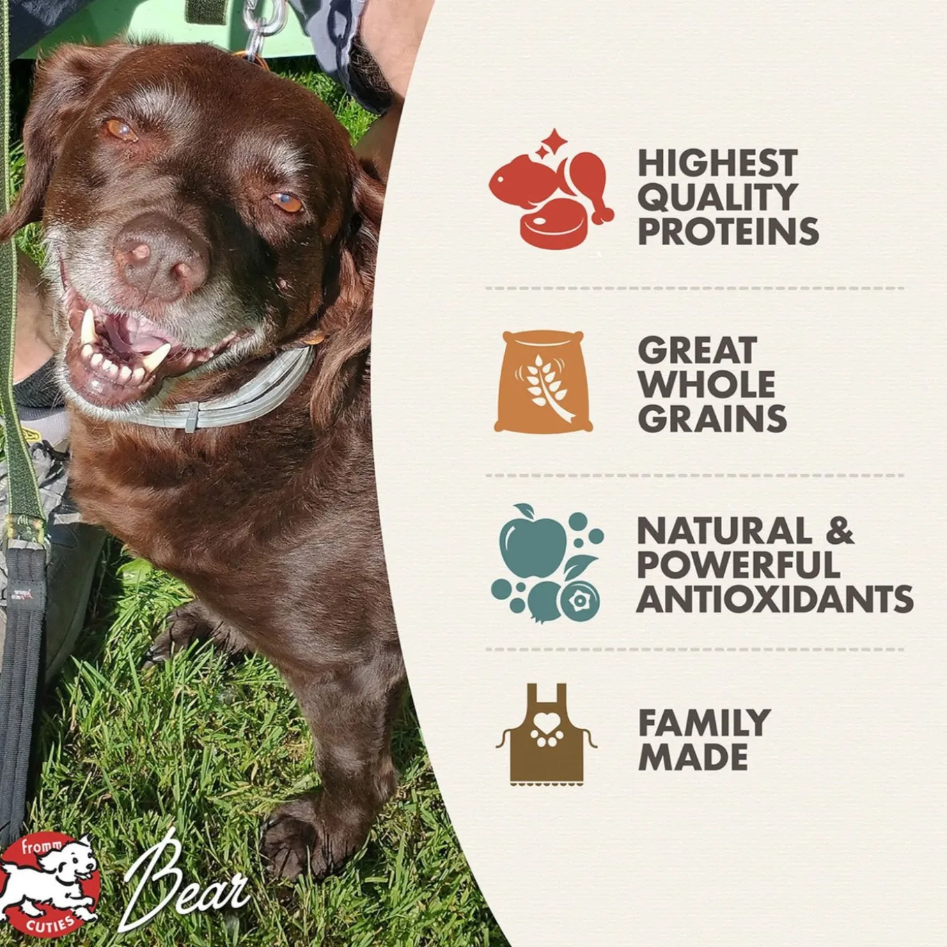 Fromm Classic Adult Formula Dry Dog Food