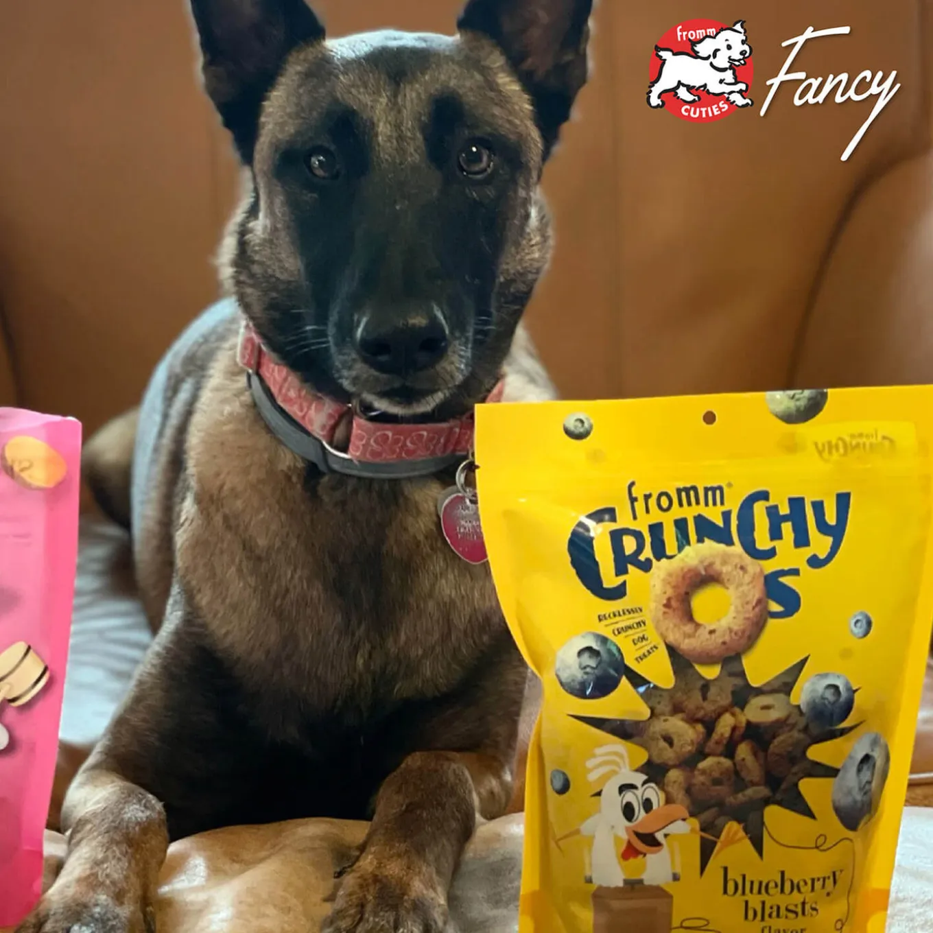 Fromm Crunchy Os Dog Treats