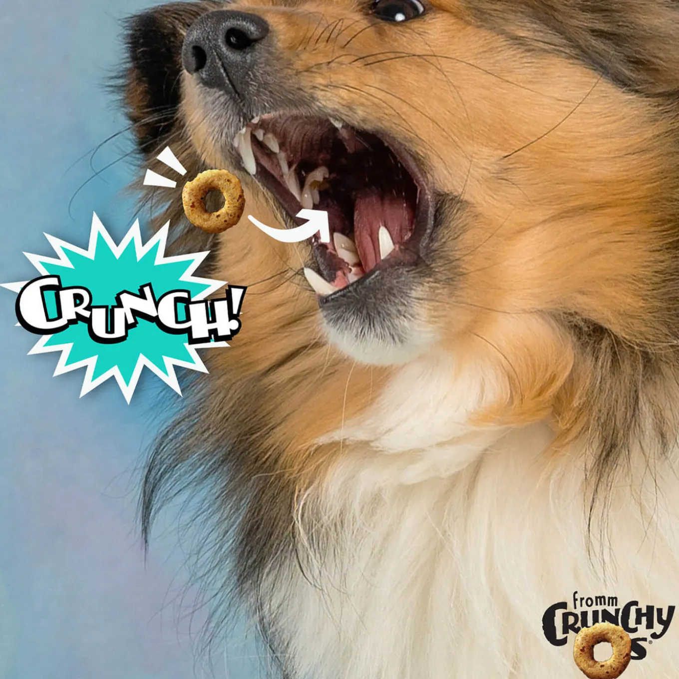 Fromm Crunchy Os Dog Treats
