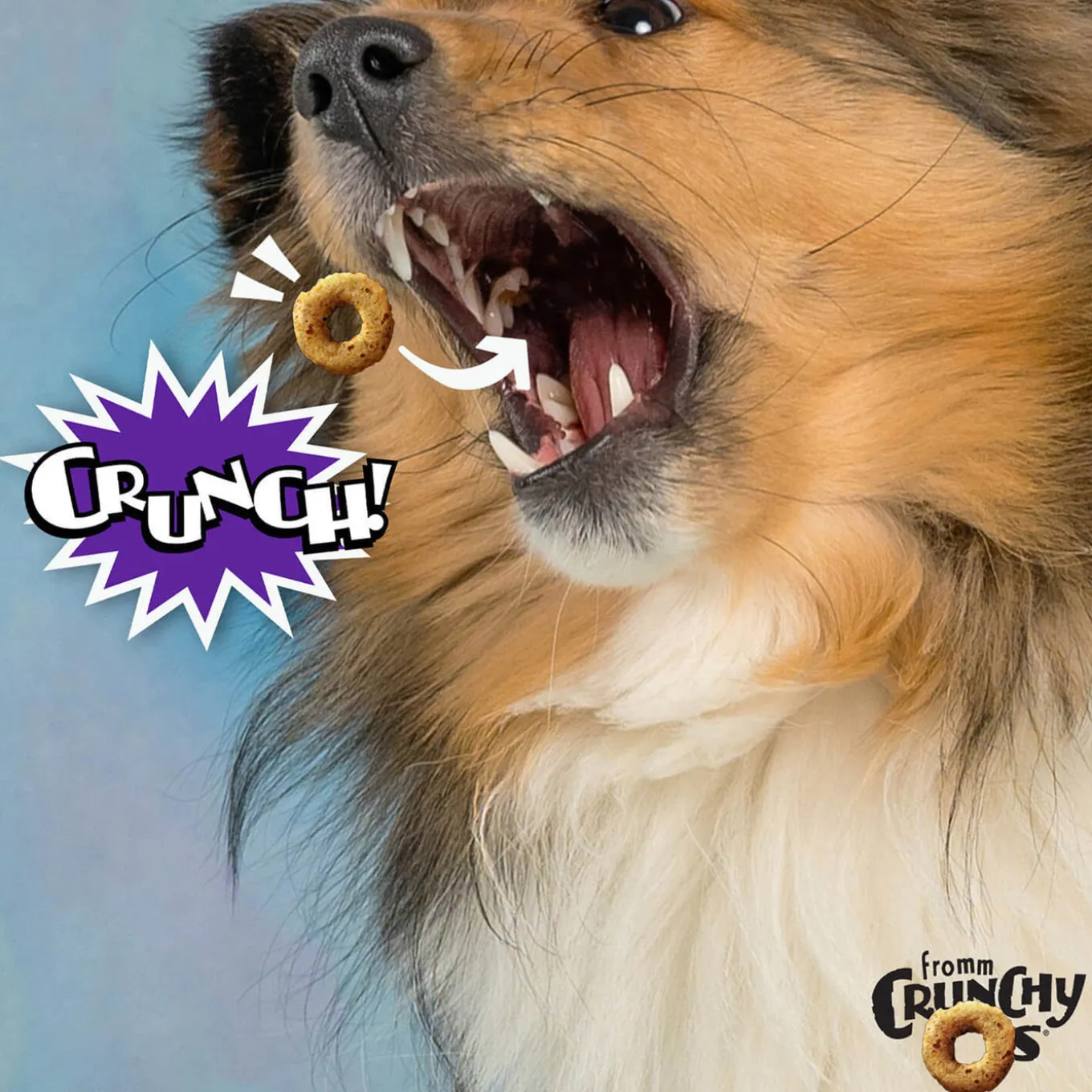 Fromm Crunchy Os Dog Treats