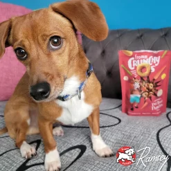 Fromm Crunchy Os Dog Treats