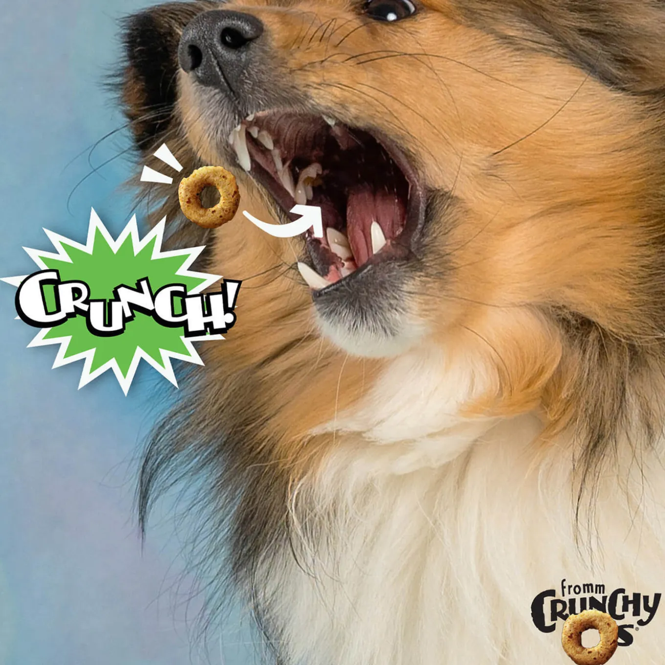 Fromm Crunchy Os Dog Treats