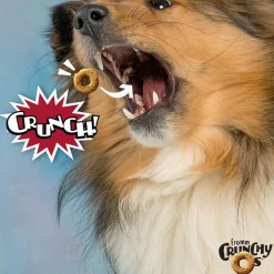 Fromm Crunchy Os Dog Treats