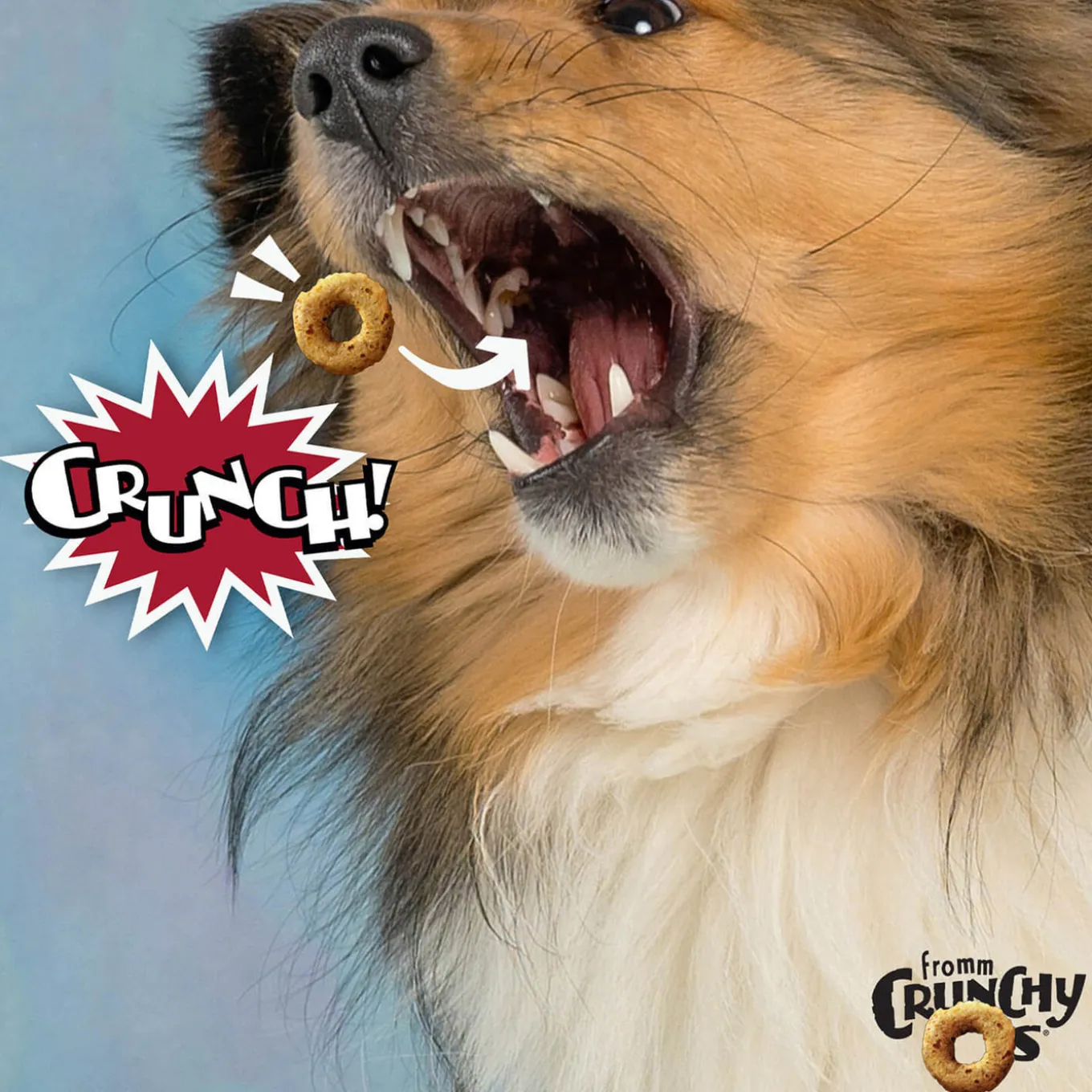 Fromm Crunchy Os Dog Treats
