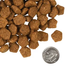 Fromm Four Star Duck A La Veg Grain Inclusive Recipe Dry Dog Food