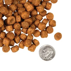 Fromm Four Star Game Bird Grain Free Recipe Dry Dog Food