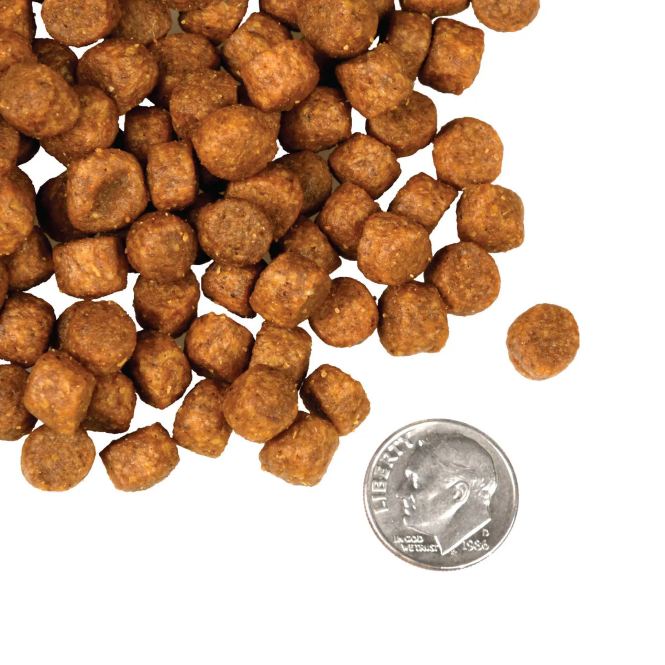 Fromm Four Star Game Bird Grain Free Recipe Dry Dog Food