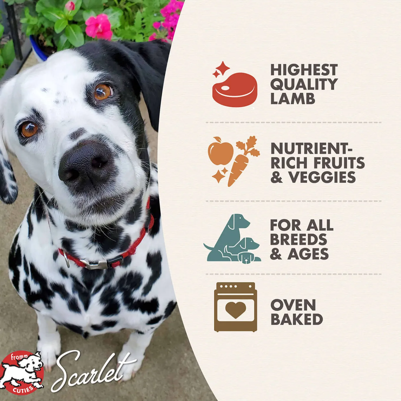 Fromm Four Star Grain Free Dog Treats