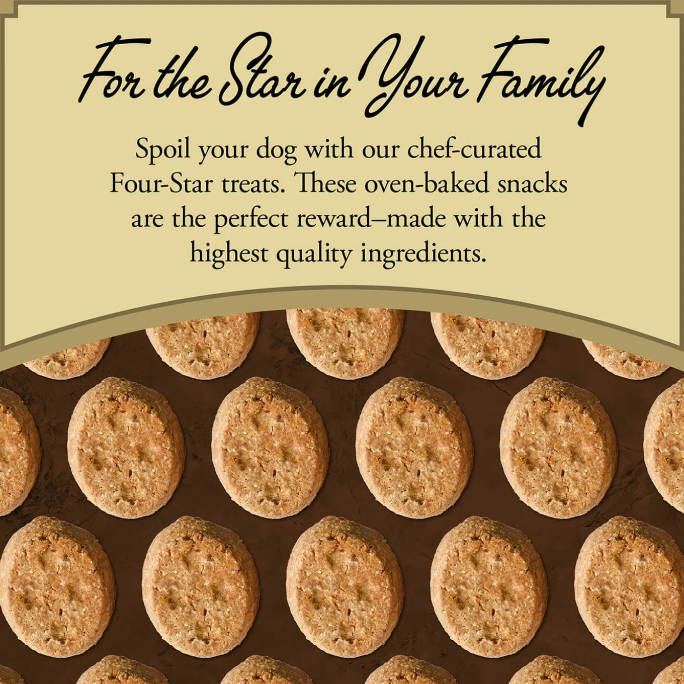 Fromm Four Star Grain Free Dog Treats