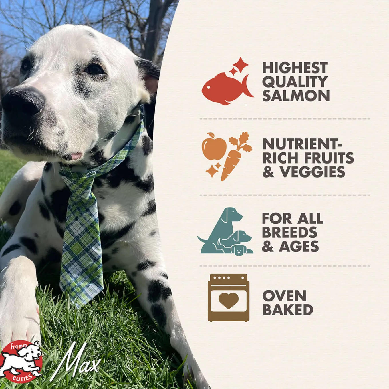 Fromm Four Star Grain Free Dog Treats