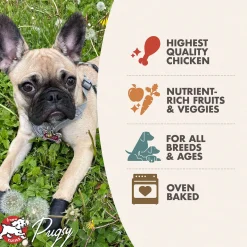 Fromm Four Star Grain Free Dog Treats