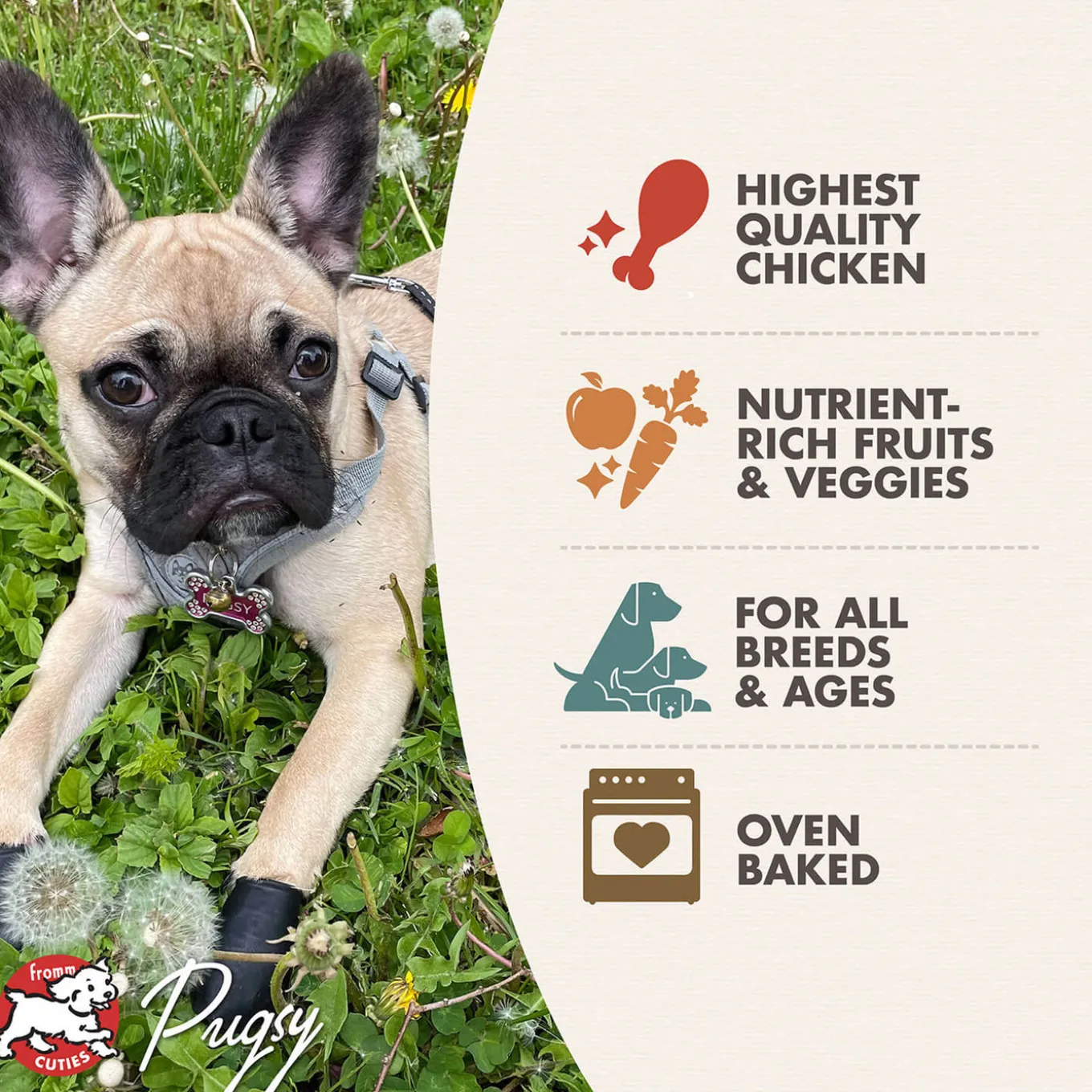 Fromm Four Star Grain Free Dog Treats