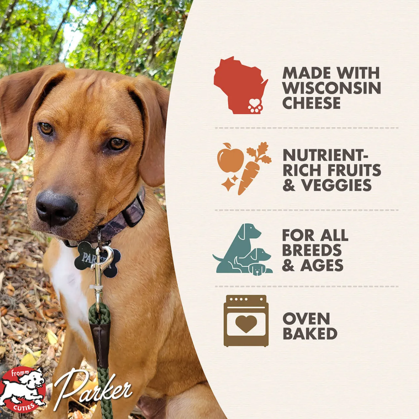 Fromm Four Star Grain Free Dog Treats