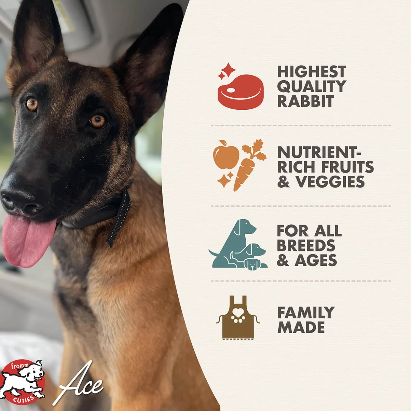 Fromm Four Star Hasen Duckenpfeffer Grain Free Dry Dog Food