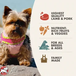 Fromm Four Star Lamb & Lentil Grain Free Recipe Dog Food