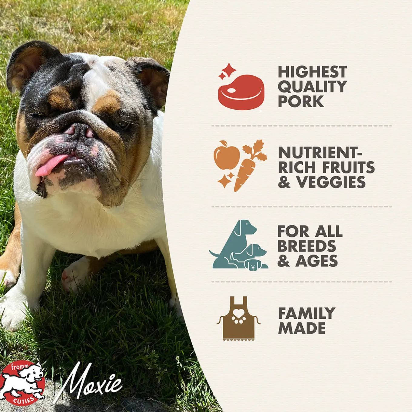 Fromm Four Star Pork & Peas Grain Free Recipe Dog Food