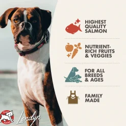Fromm Four Star Salmon A La Veg Grain Inclusive Dry Dog Food
