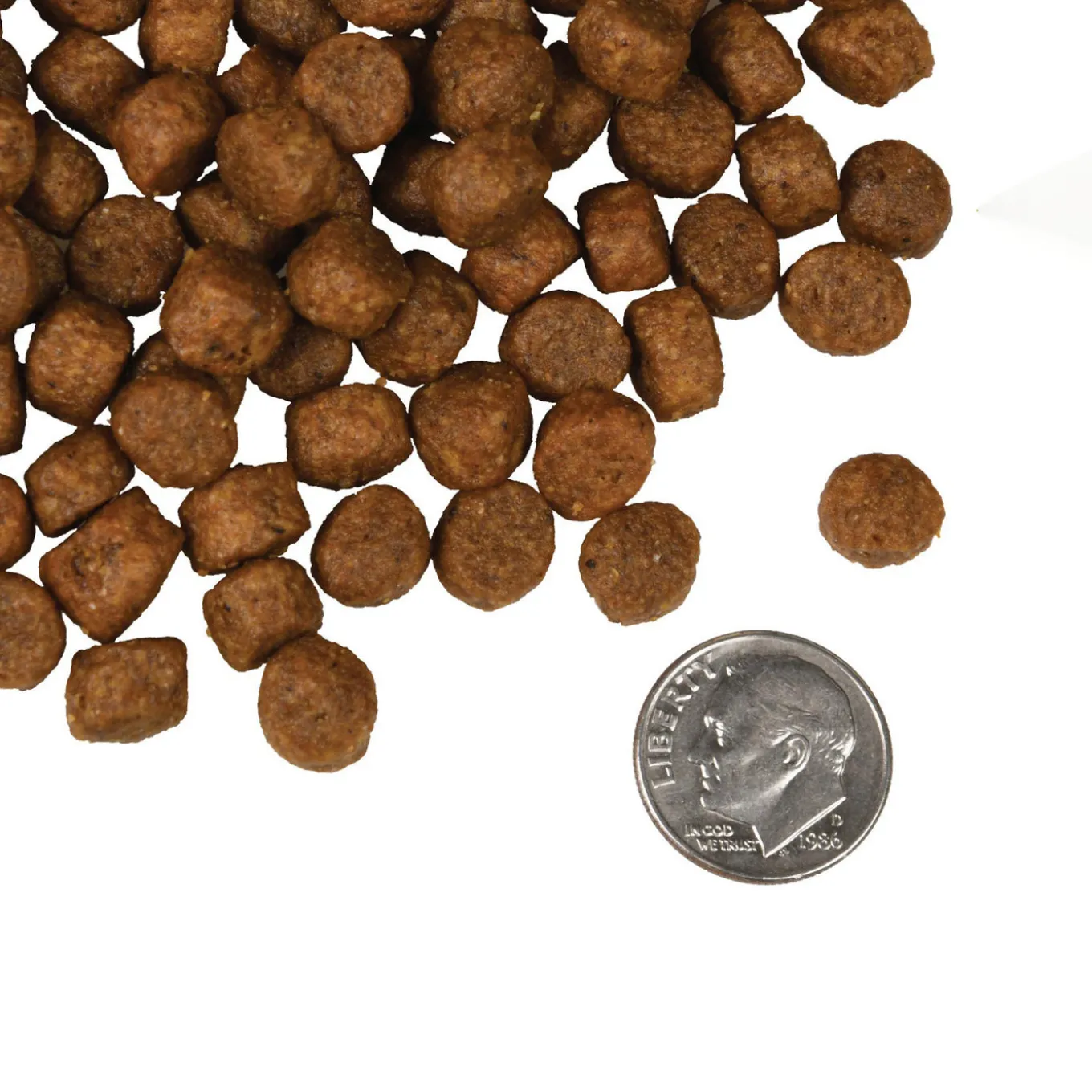 Fromm Four Star Salmon Tunalini Grain Free Recipe Dry Dog Food