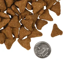 Fromm Four Star Whitefish & Potato Grain Inclusive Recipe Dry Dog Food