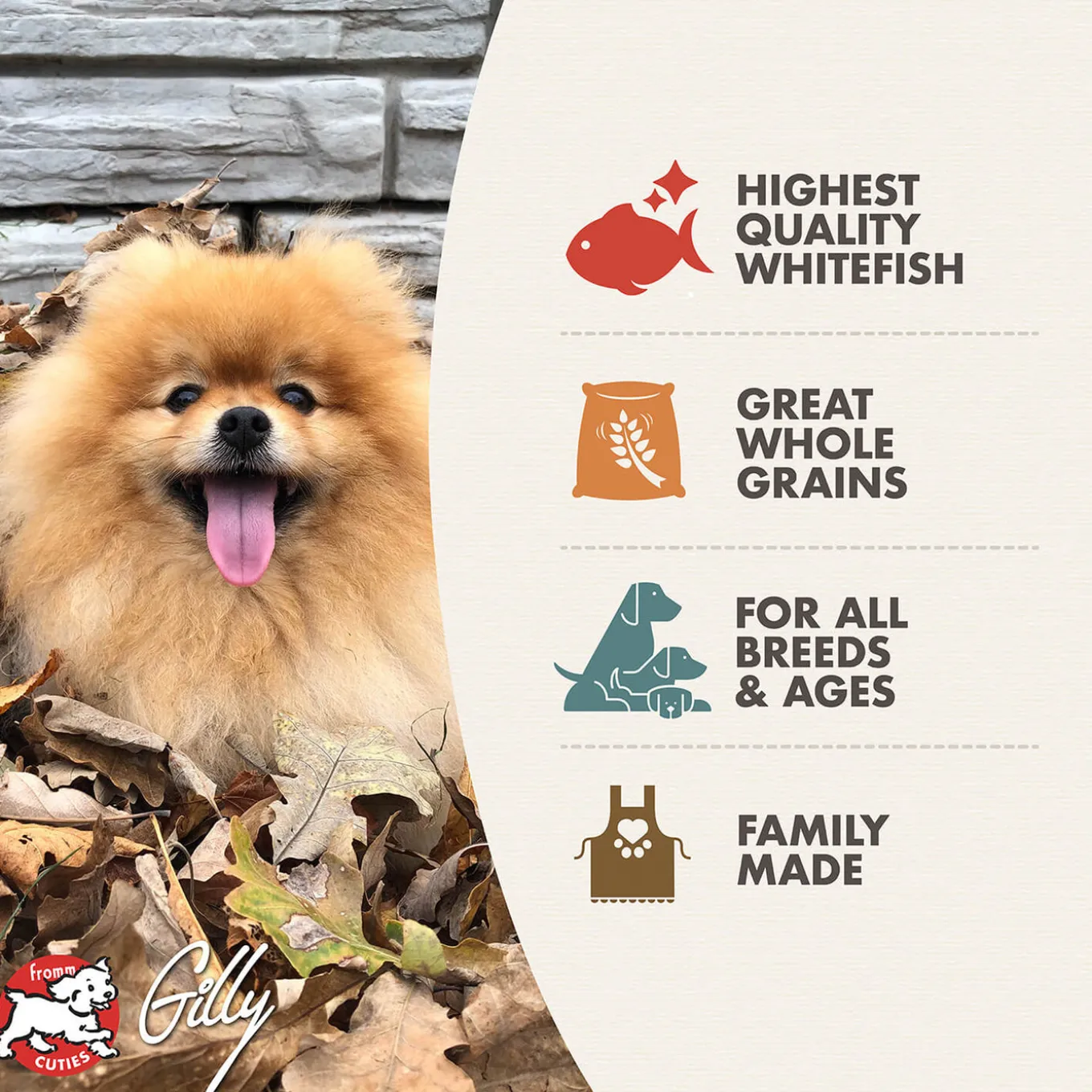 Fromm Four Star Whitefish & Potato Grain Inclusive Recipe Dry Dog Food