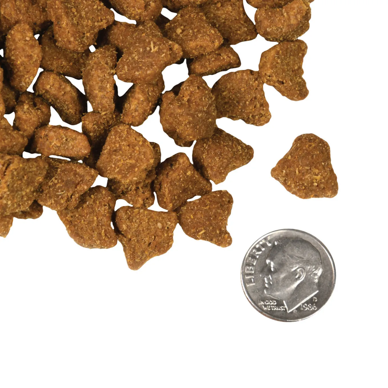 Fromm Four Star Zealambder Grain Inclusive Recipe Dry Dog Food
