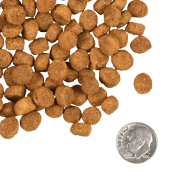 Fromm Heartland Gold Large Breed Puppy Dry Dog Food