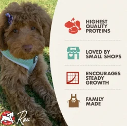 Fromm Heartland Gold Large Breed Puppy Dry Dog Food