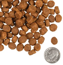 Fromm Heartland Gold Puppy Dry Dog Food