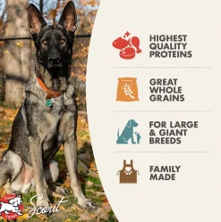 Fromm Large Breed Adult Gold Dry Dog Food