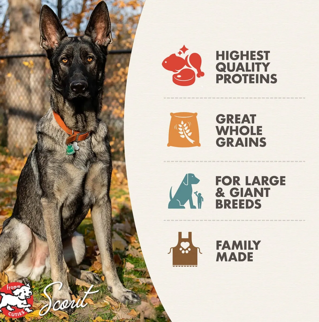 Fromm Large Breed Adult Gold Dry Dog Food