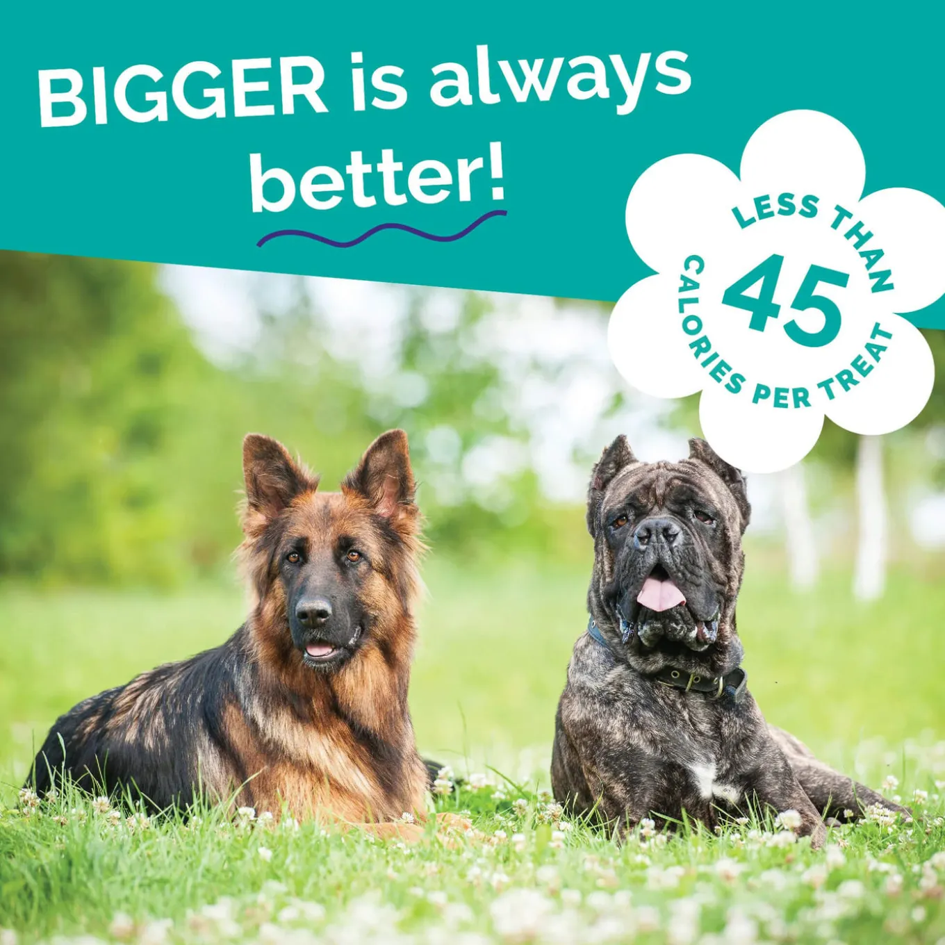 Fruitables Biggies Dog Treats