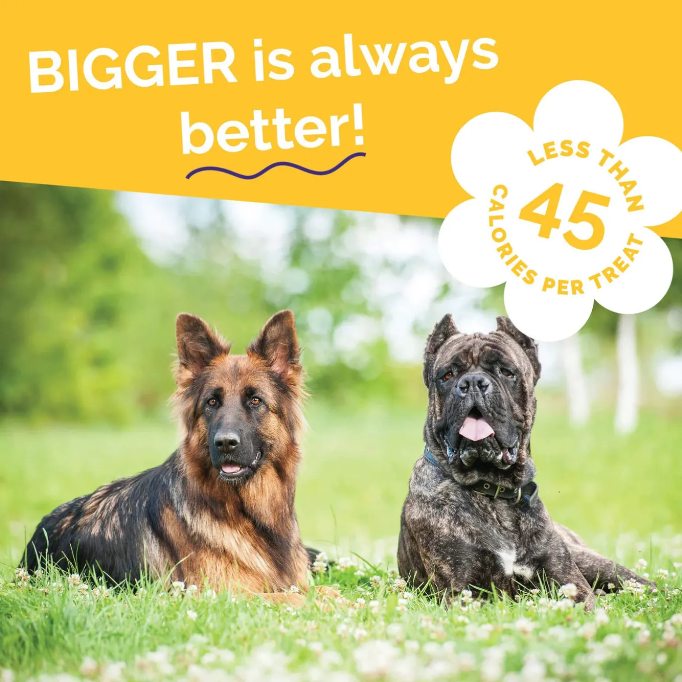 Fruitables Biggies Dog Treats