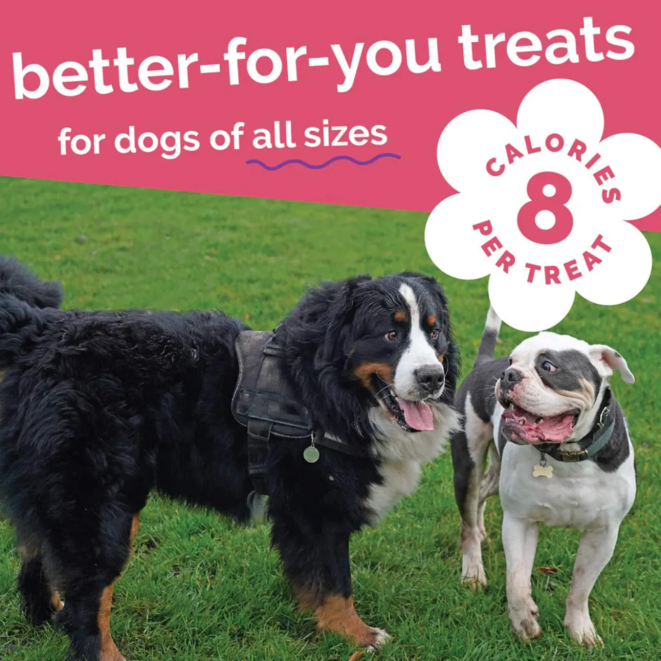 Fruitables Dog Treats