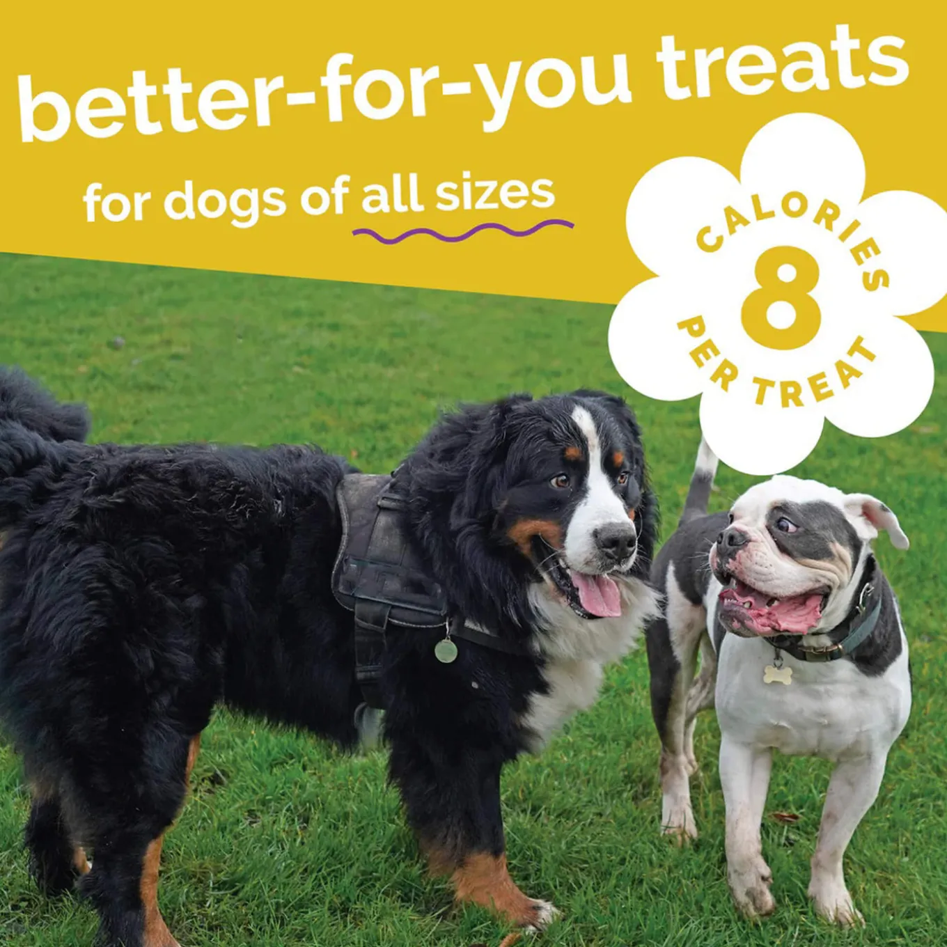 Fruitables Dog Treats