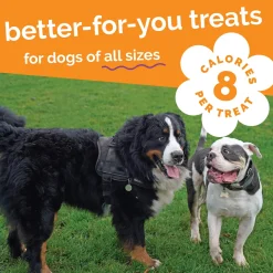 Fruitables Dog Treats