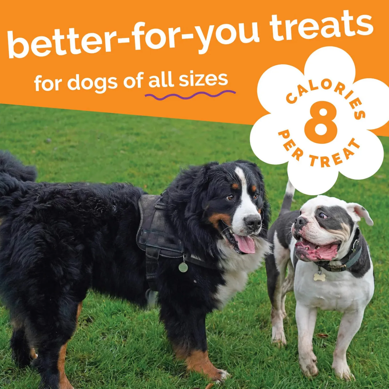 Fruitables Dog Treats