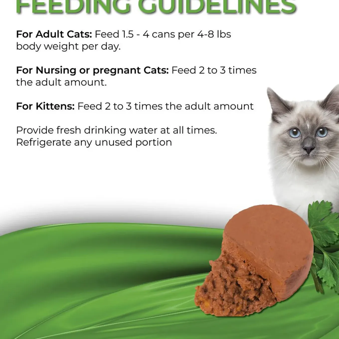 Fussie Cat Fine Dining Mousse Wet Cat Food With Pumpkin