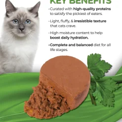 Fussie Cat Fine Dining Mousse Wet Cat Food With Pumpkin
