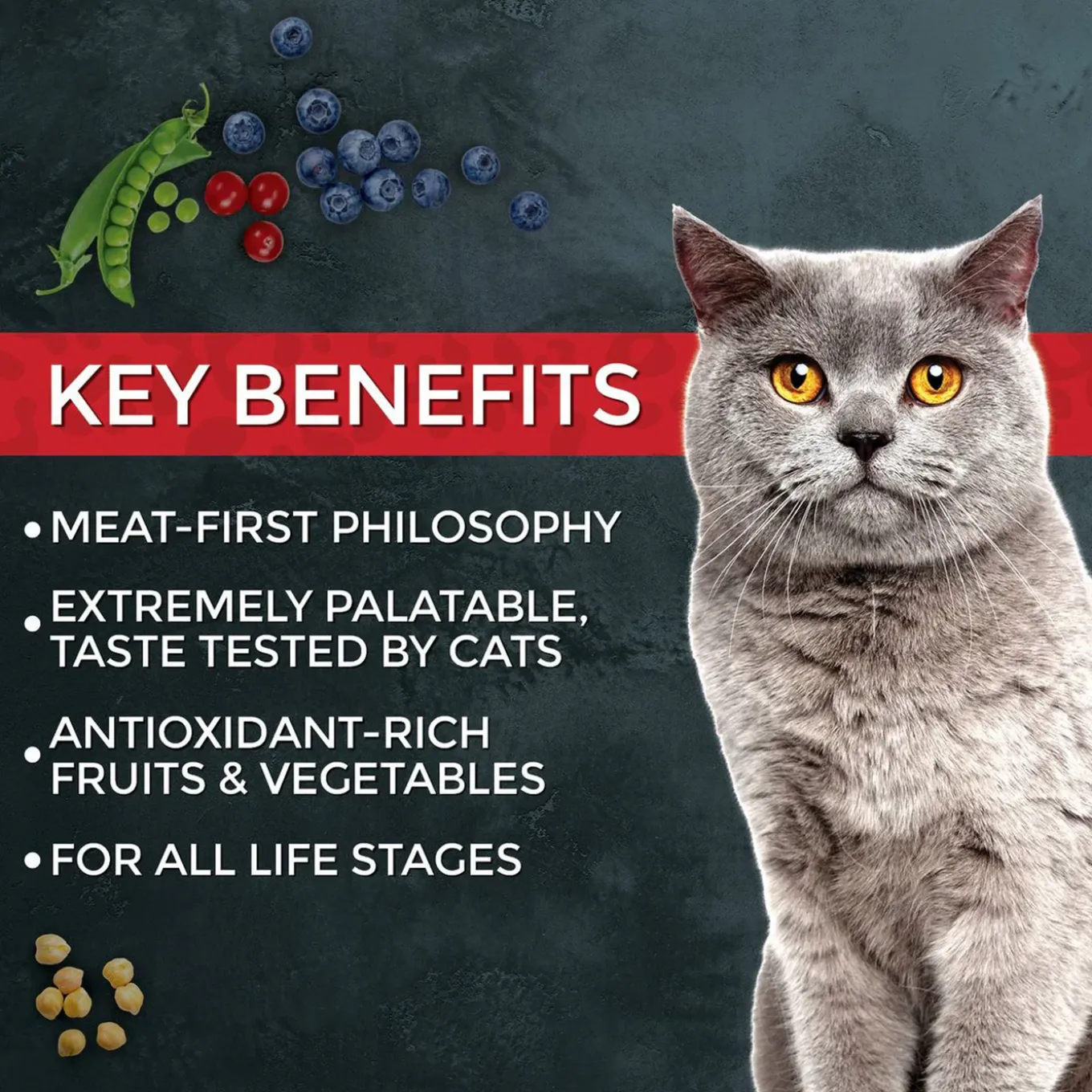 Fussie Cat Market Fresh Grain Free Dry Cat Food