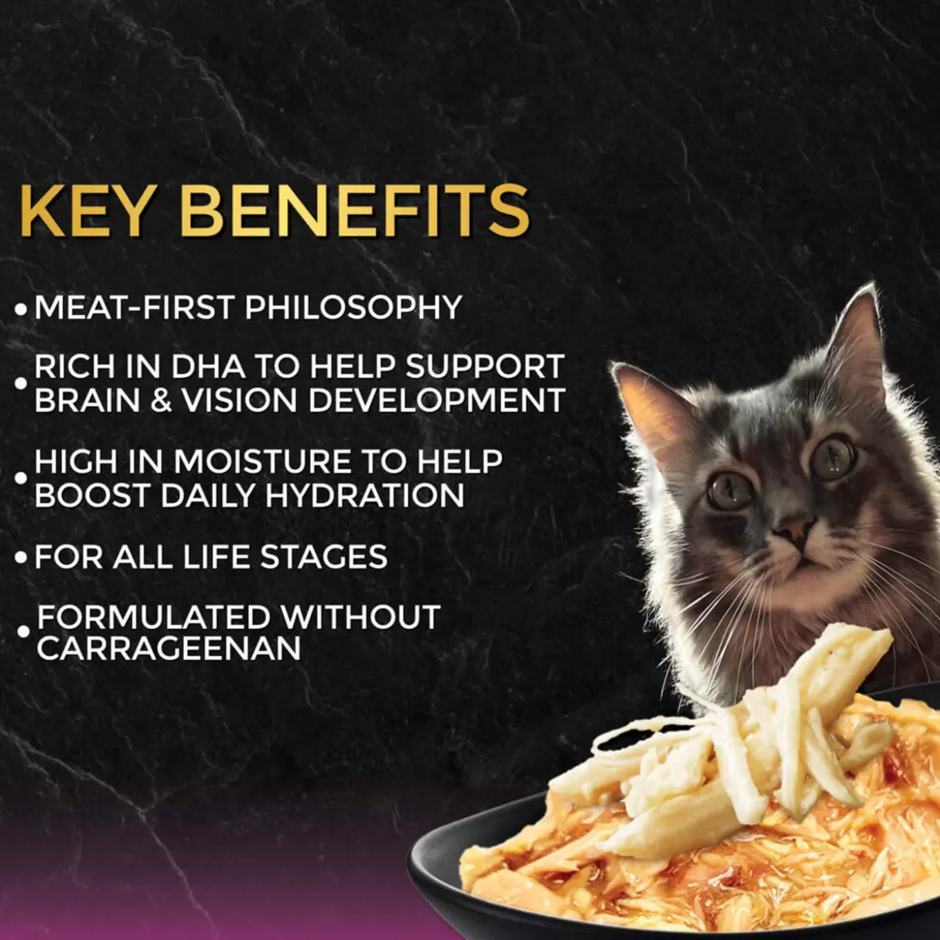 Fussie Cat Premium Gravy Black Label Cat Stews