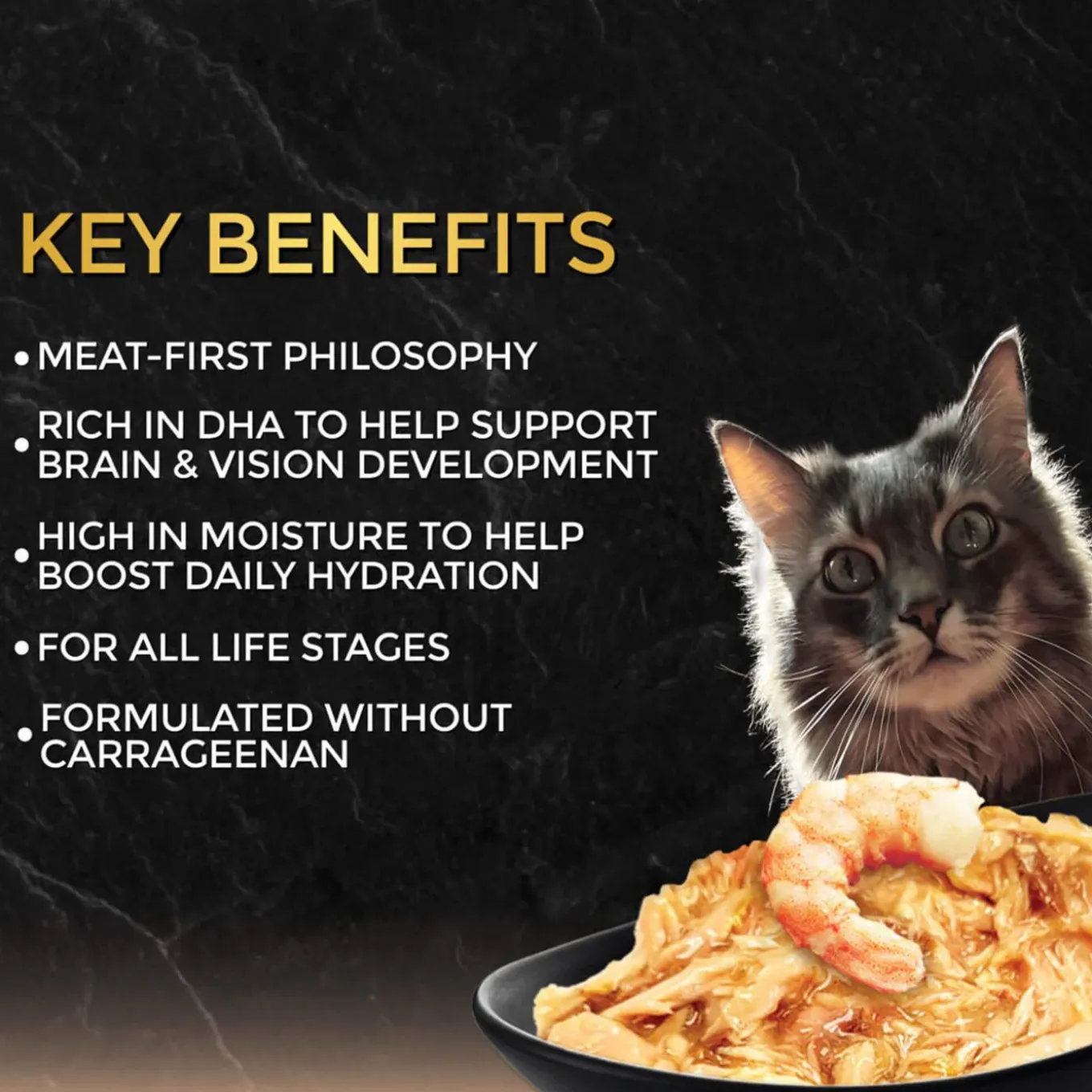 Fussie Cat Premium Gravy Black Label Cat Stews