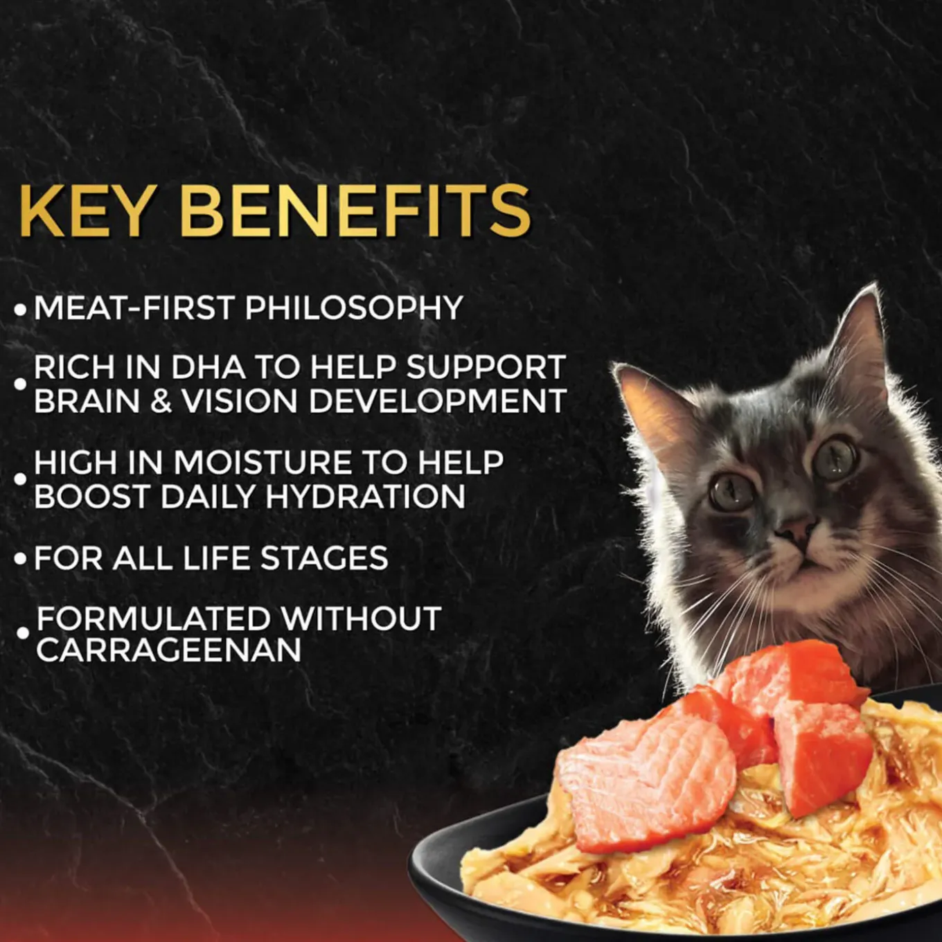 Fussie Cat Premium Gravy Black Label Cat Stews