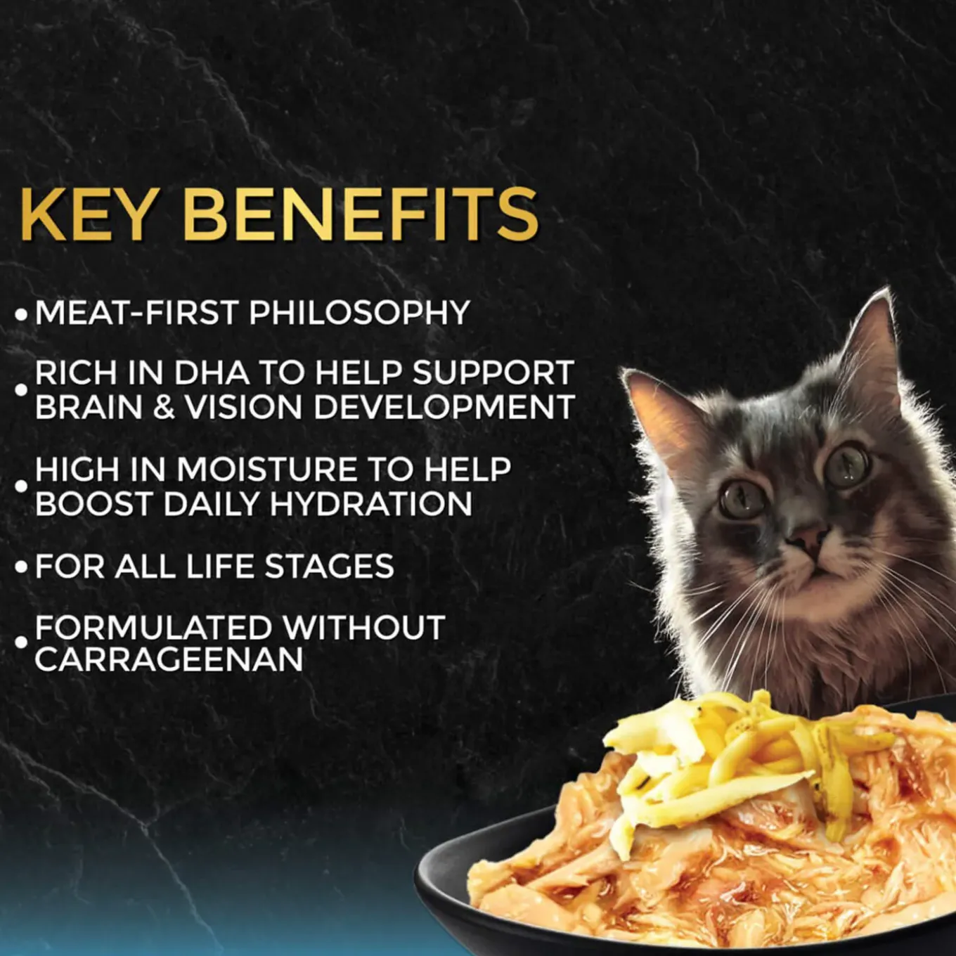 Fussie Cat Premium Gravy Black Label Cat Stews